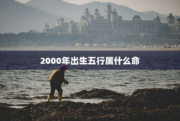 2000年出生五行属什么命