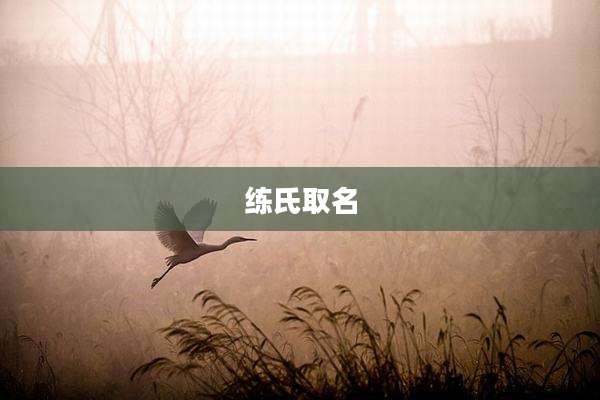 练氏取名
