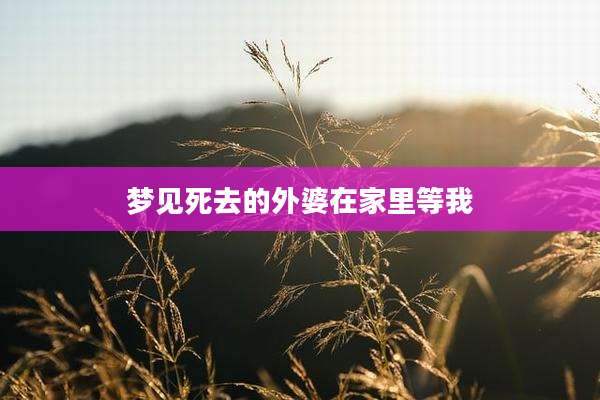 梦见死去的外婆在家里等我