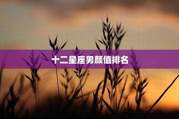 十二星座男颜值排名