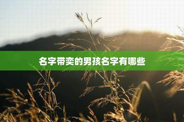 名字带奕的男孩名字有哪些
