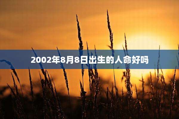 2002年8月8日出生的人命好吗