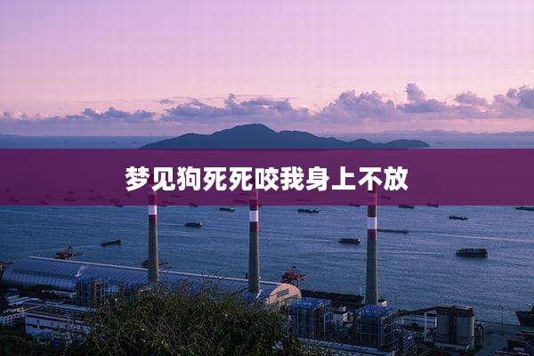 梦见狗死死咬我身上不放