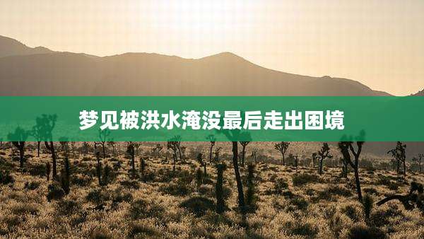 梦见被洪水淹没最后走出困境