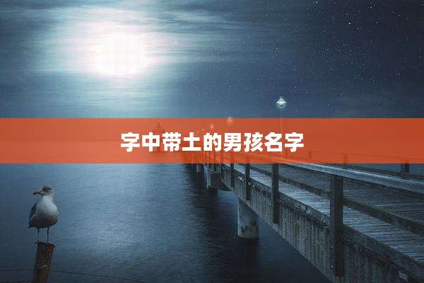 字中带土的男孩名字