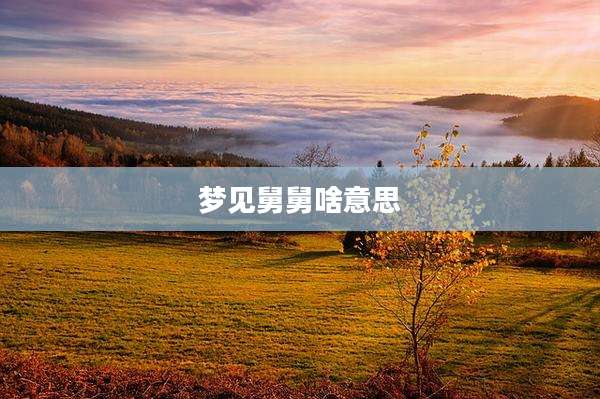 梦见舅舅啥意思