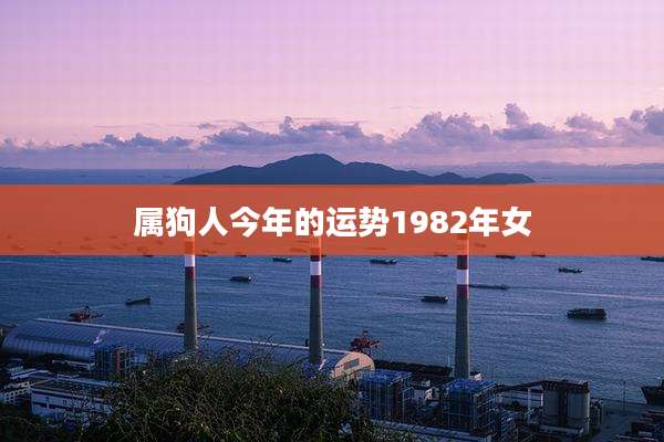 属狗人今年的运势1982年女