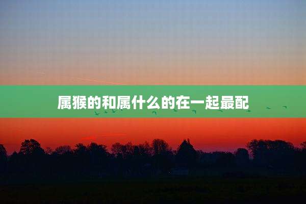 属猴的和属什么的在一起最配