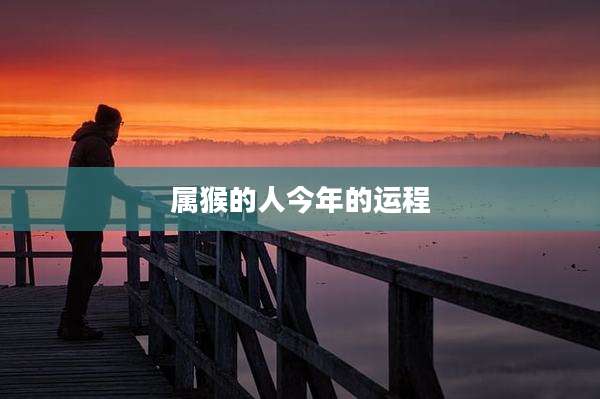 属猴的人今年的运程