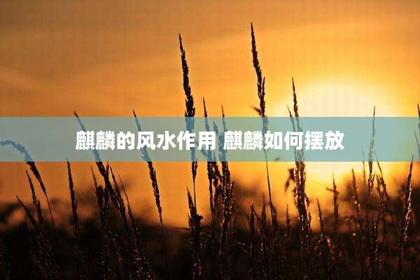 麒麟的风水作用 麒麟如何摆放