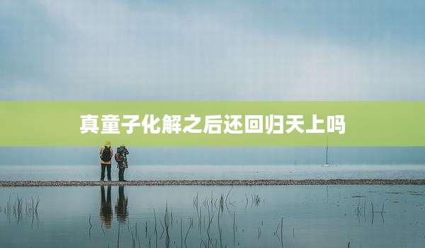 真童子化解之后还回归天上吗