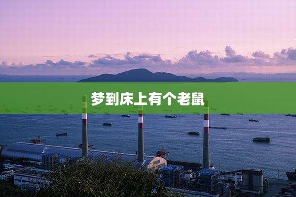 梦到床上有个老鼠