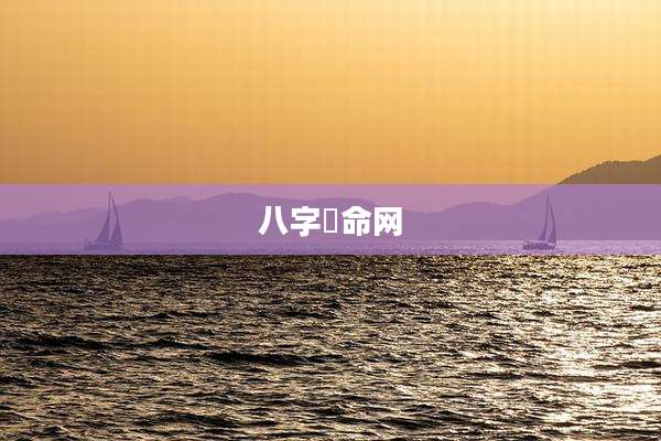 八字祘命网