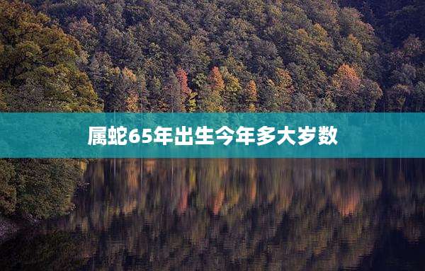 属蛇65年出生今年多大岁数
