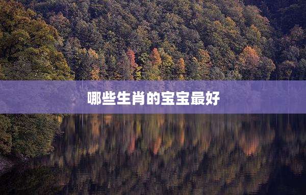 哪些生肖的宝宝最好