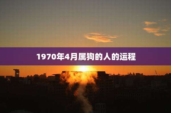 1970年4月属狗的人的运程