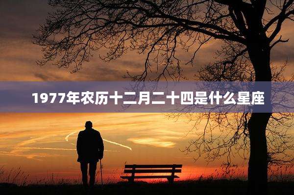 1977年农历十二月二十四是什么星座