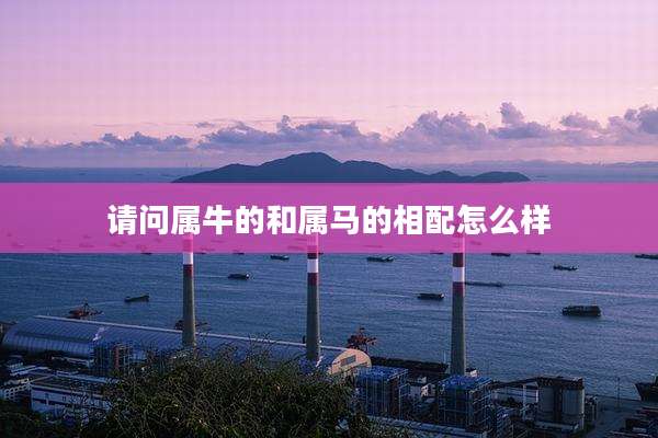 请问属牛的和属马的相配怎么样