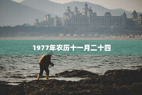 1977年农历十一月二十四