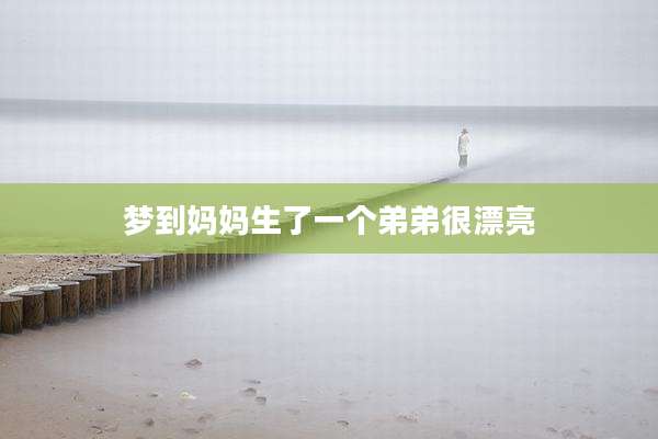 梦到妈妈生了一个弟弟很漂亮