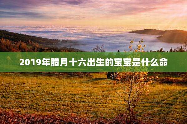 2019年腊月十六出生的宝宝是什么命