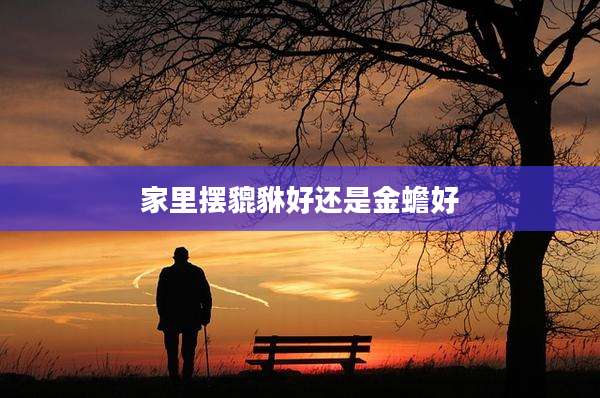家里摆貔貅好还是金蟾好
