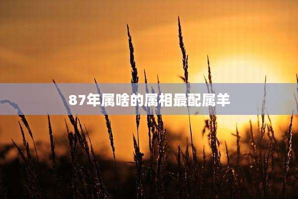 87年属啥的属相最配属羊
