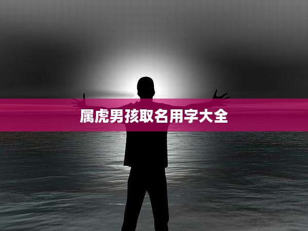 属虎男孩取名用字大全