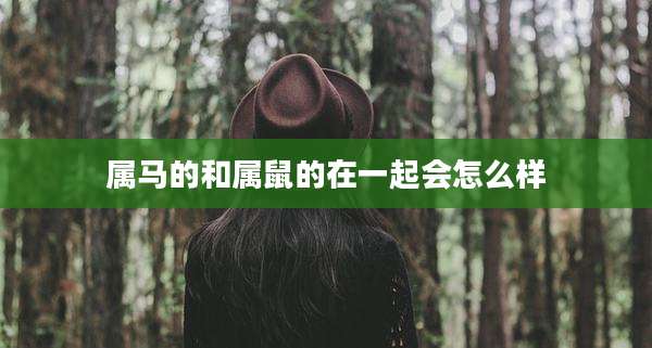 属马的和属鼠的在一起会怎么样