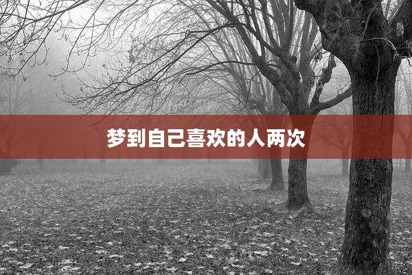 梦到自己喜欢的人两次