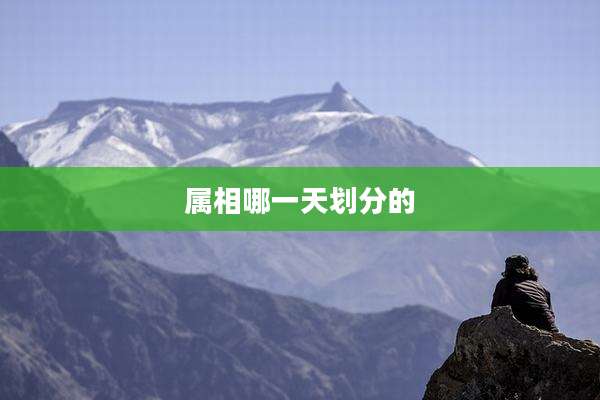 属相哪一天划分的