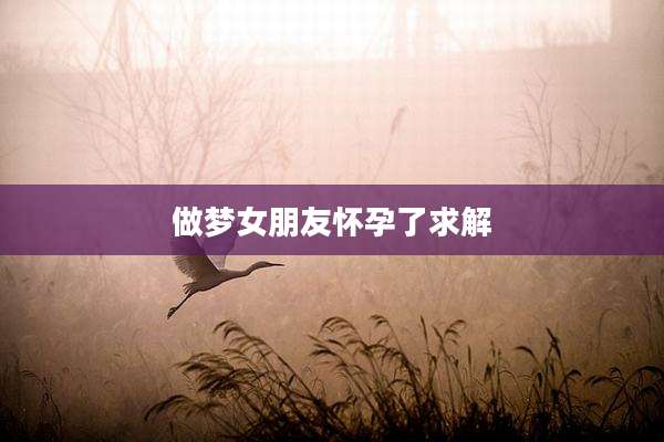 做梦女朋友怀孕了求解