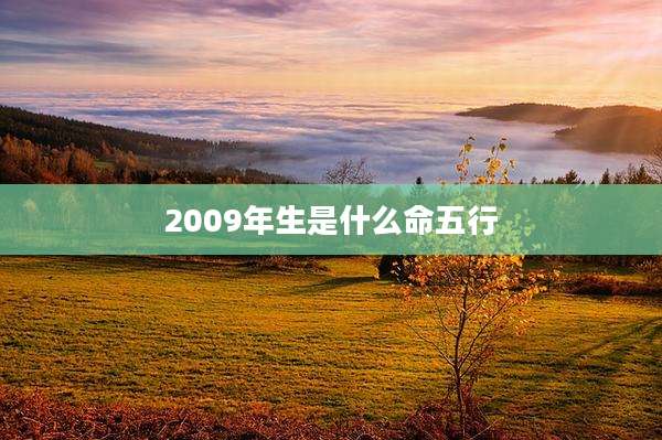 2009年生是什么命五行