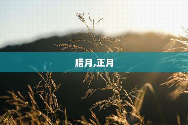 腊月,正月