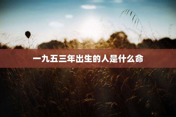 一九五三年出生的人是什么命