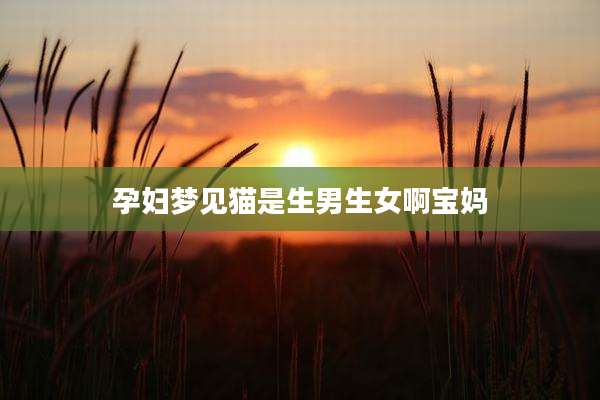 孕妇梦见猫是生男生女啊宝妈