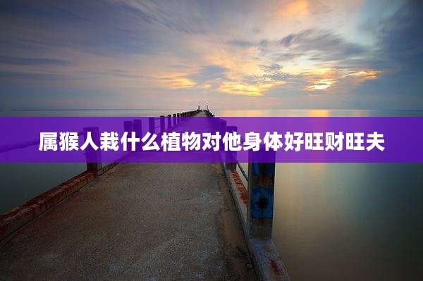 属猴人栽什么植物对他身体好旺财旺夫