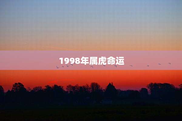 1998年属虎命运