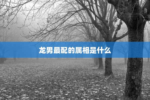 龙男最配的属相是什么