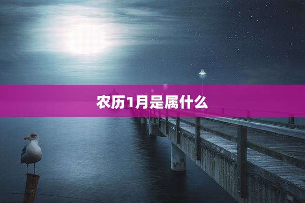 农历1月是属什么