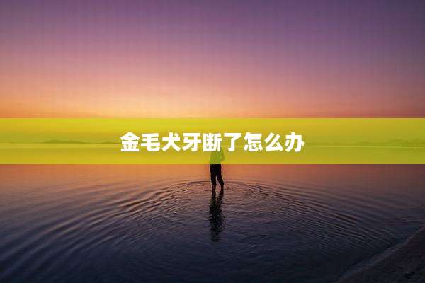 金毛犬牙断了怎么办