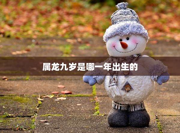 属龙九岁是哪一年出生的