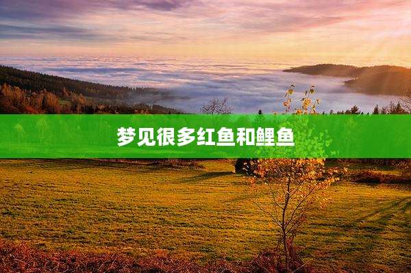 梦见很多红鱼和鲤鱼