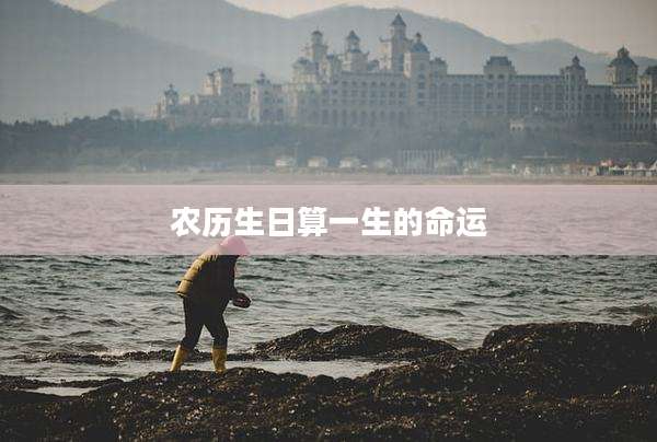农历生日算一生的命运