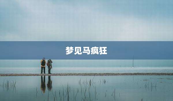 梦见马疯狂