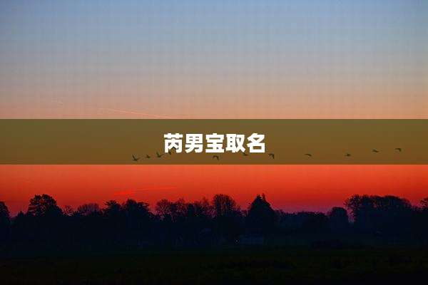 芮男宝取名