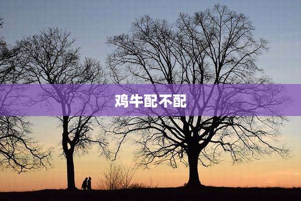鸡牛配不配