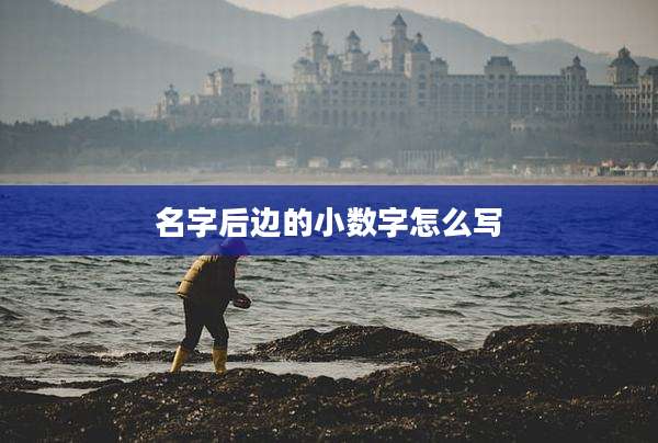 名字后边的小数字怎么写