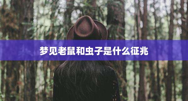 梦见老鼠和虫子是什么征兆