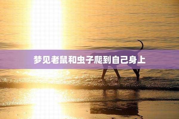 梦见老鼠和虫子爬到自己身上